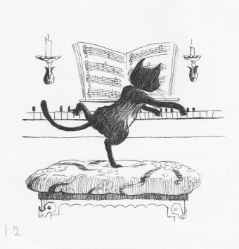 images/categorieimages/pianospelende-poes.jpg