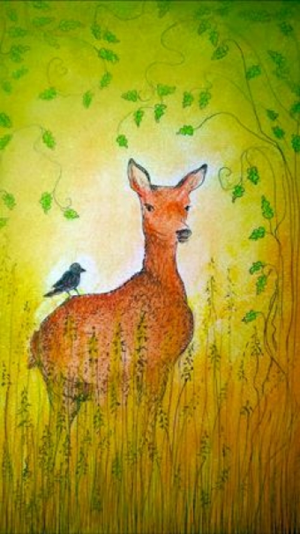 Setje van 7 ansichtkaarten met dieren