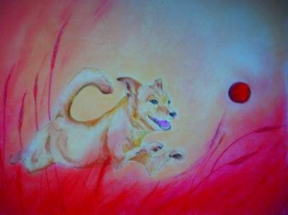 Setje van 7 ansichtkaarten met dieren