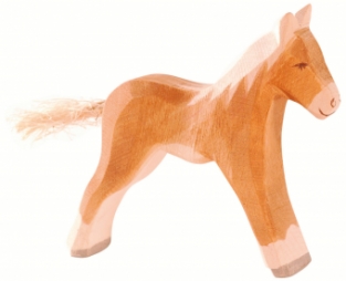 Veulen Haflinger
