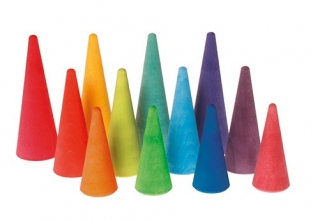 Regenboog bos