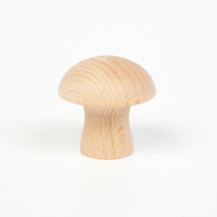 Paddestoelen