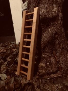 Ladder